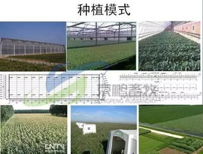 京鵬環宇畜牧薛志友 打造休閑觀光生態牧場，從“養好牛”到“享生活”的質變之路