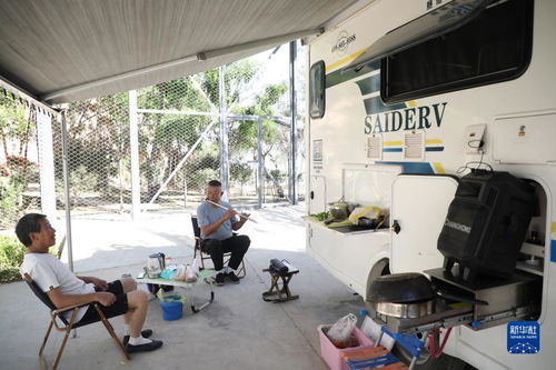 黃土坡上的綠色蝶變 生態振興激活鄉村休閑觀光新動能