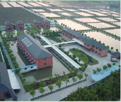 探秘杭州龔老漢休閑觀光園 一場親近自然的田園之旅