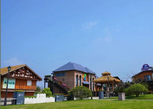 一起追風拾野，上海9條美麗鄉村休閑旅游路線全新亮相