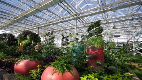 觀光休閑農(nóng)業(yè)的發(fā)展趨勢 休閑觀光活動的創(chuàng)新與實踐