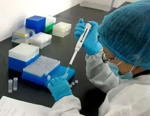 直面爭議，中國檢測(cè)試劑盒的質(zhì)量真相足以令西方沉默